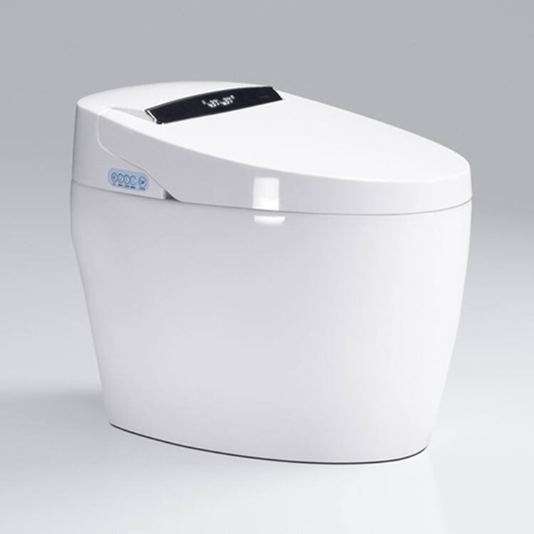 Intelligent Comfort and Convenience Features