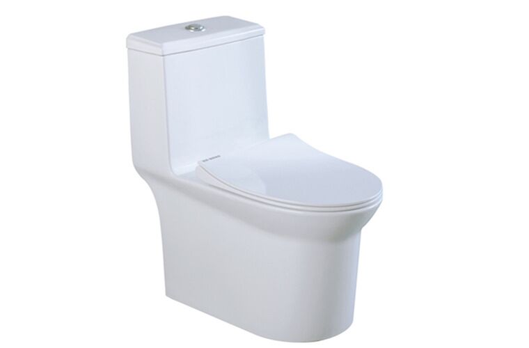 Key Considerations When Choosing a Toilet