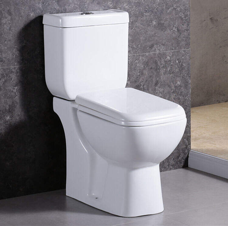 What Is a Two Piece Toilet and How Does It Work?