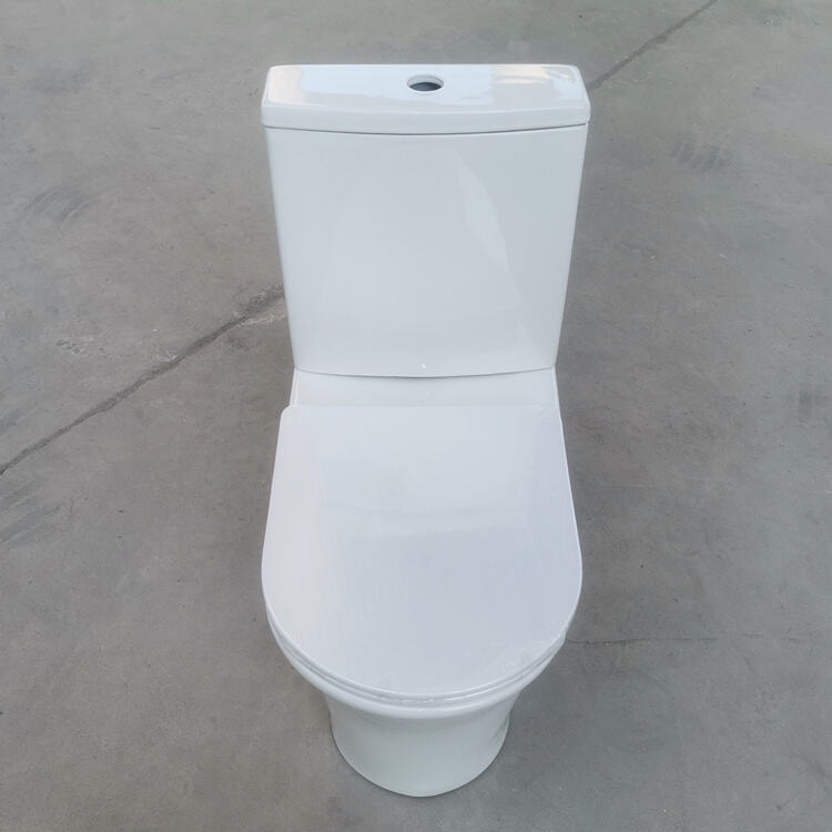 Bathroom ceramic washdown two piece wc toilet with s-trp/p-trap