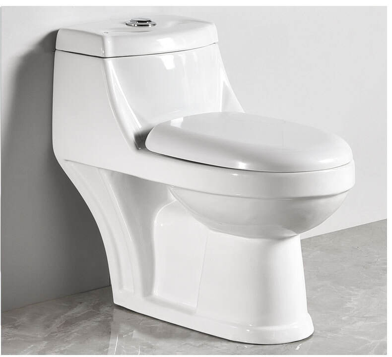 Sanitary ware bathroom ceramic washdown one piece wc toilet