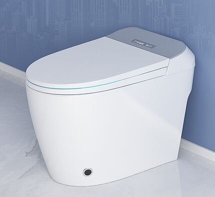 Sind intelligente Toiletten die Investition wert?