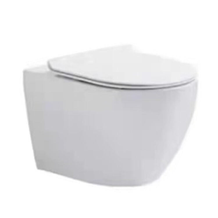 Manufacturer cheap price bathroom ceramic rimless wall mounted wc toilet