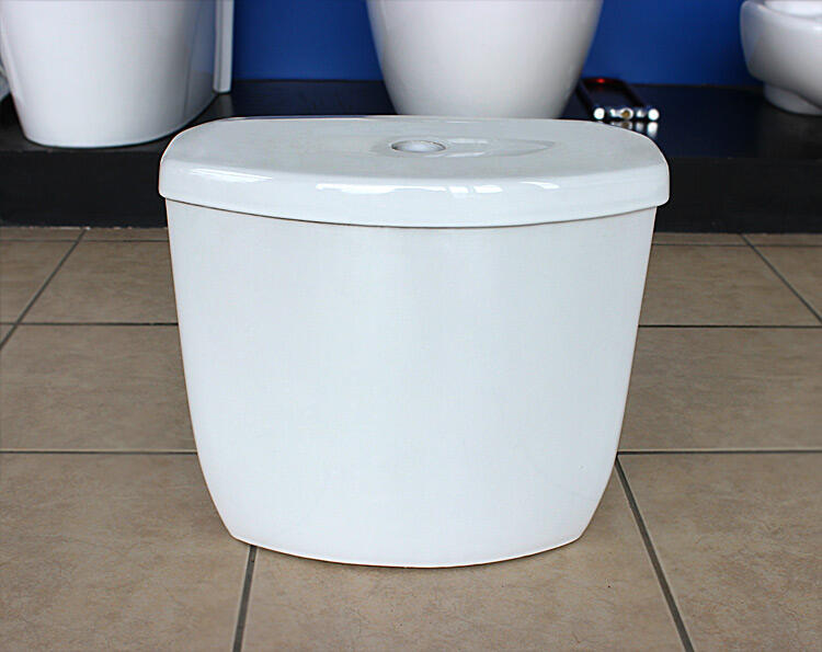 Chaozhou factory bathroom cheap washdown ceramic two piece toilet