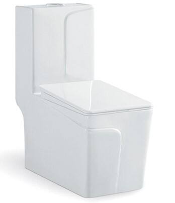 Advanced Water Efficiency and Environmental Responsibility