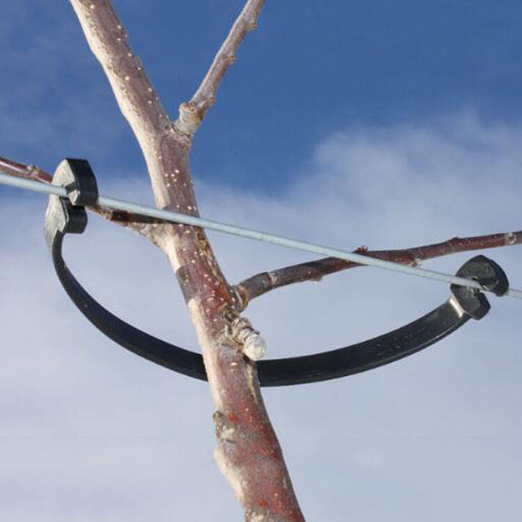 Tree Branch Fixing Clips