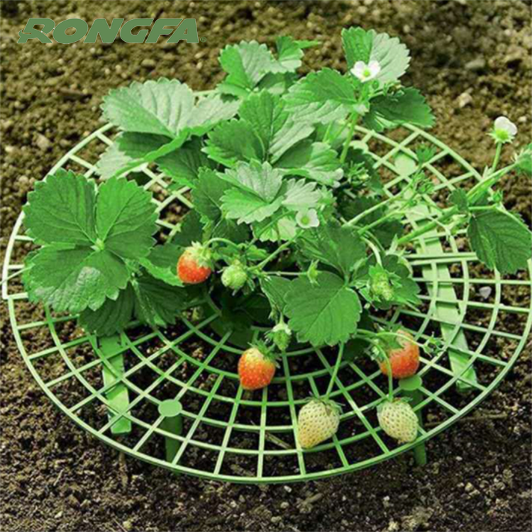 Plantas de jardín Marco de plástico para cultivo de fresas