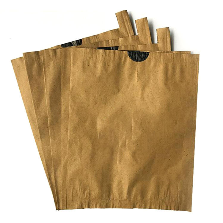 Garden Protective Paper Bags For Fruits