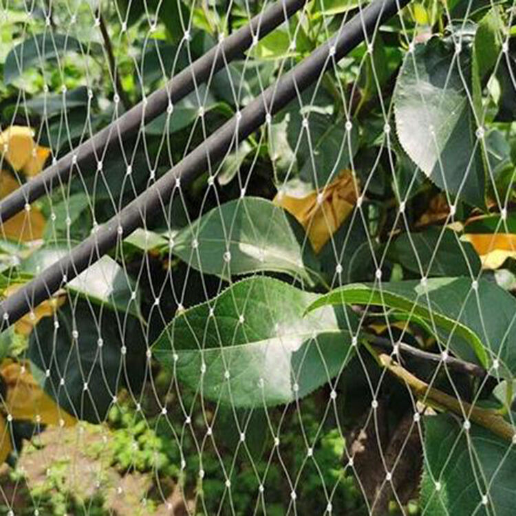 Fabrik für Vogelschutznetze für den Garten