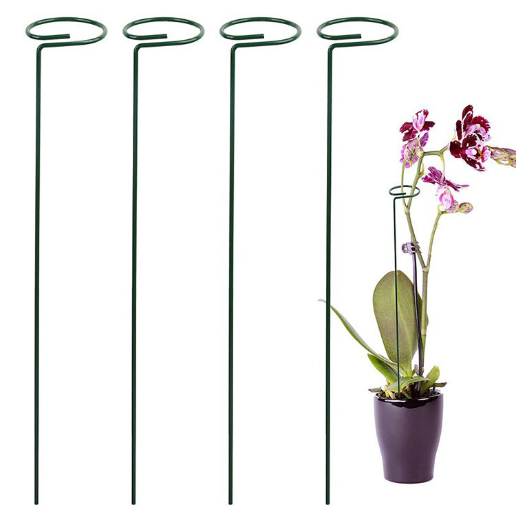 Garden Plants Stem Support Sticks