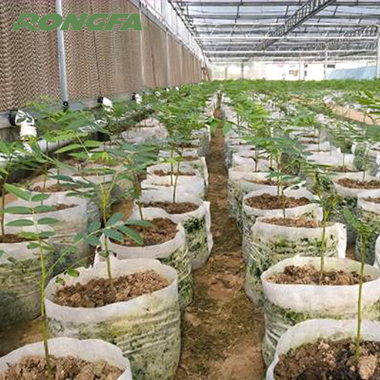 High Quality bag grow Supplier In Canada