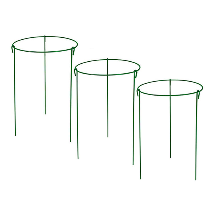 Garden Plants Stem Support Frame