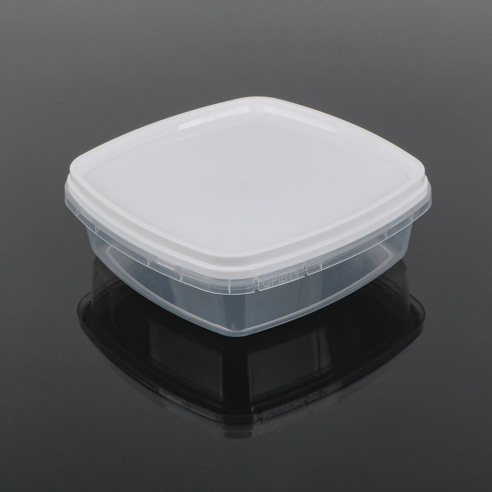 Caja de helado 250ml