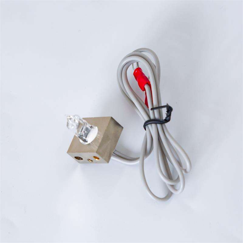 Interactive Features for Enhanced Entertainment