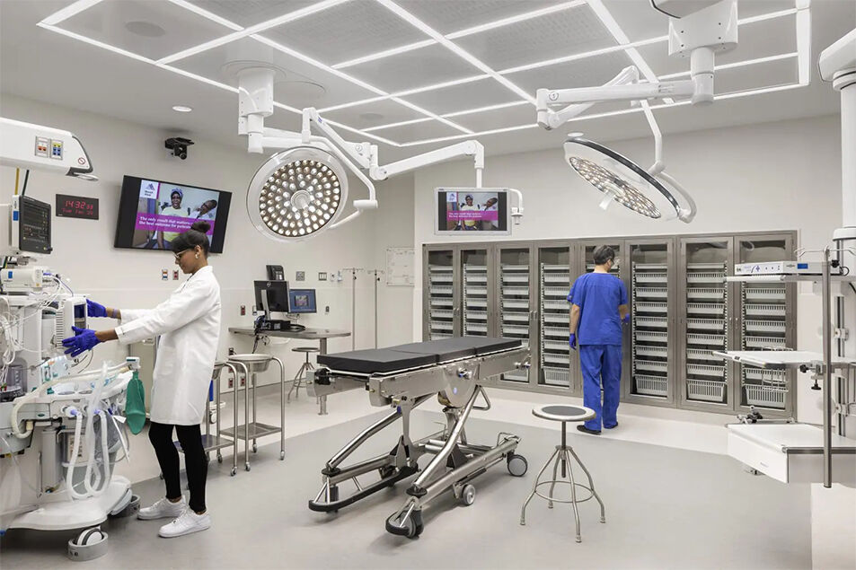 Surgical Operation/Veterinary Operation