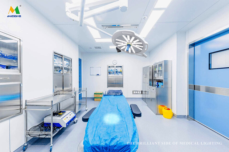 Surgical Examination/veterinary Examination/Medical Beauty