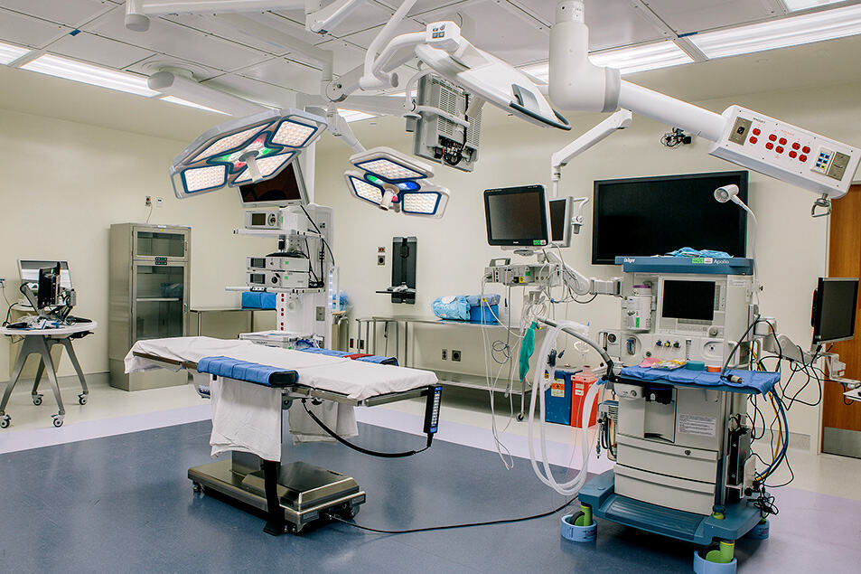 Surgical Operation/Veterinary Operation