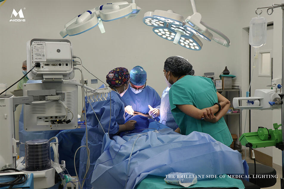 Surgical Operation/Veterinary Operation