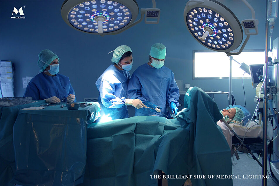 Surgical Operation/Veterinary Operation