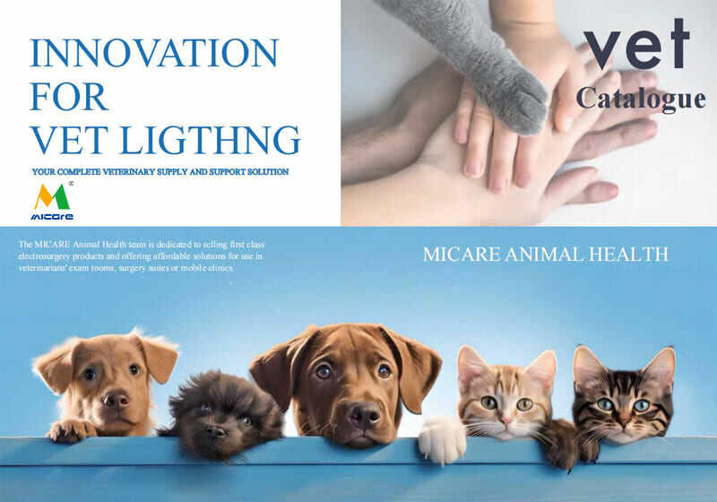 Catalogue de lumières chirurgicales VET