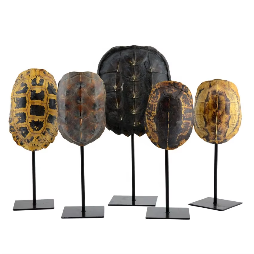 Vases of Various Materials Enrich Home Decoration Options