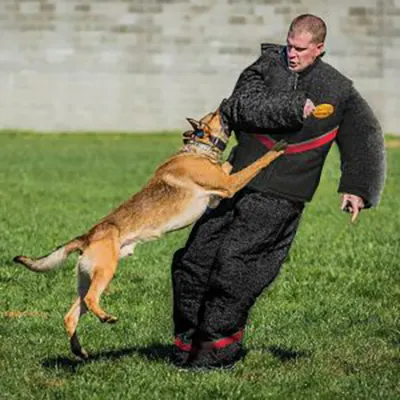 Forest Antibite Fabric: Effective Shield Against Insects & Wear