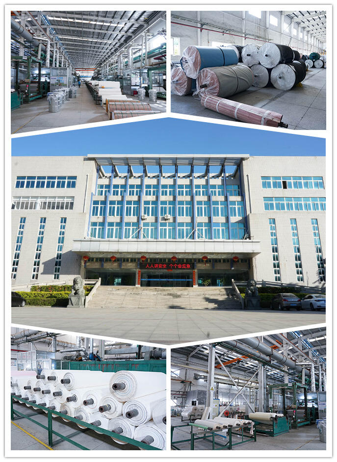 High-Quality Processing Factory