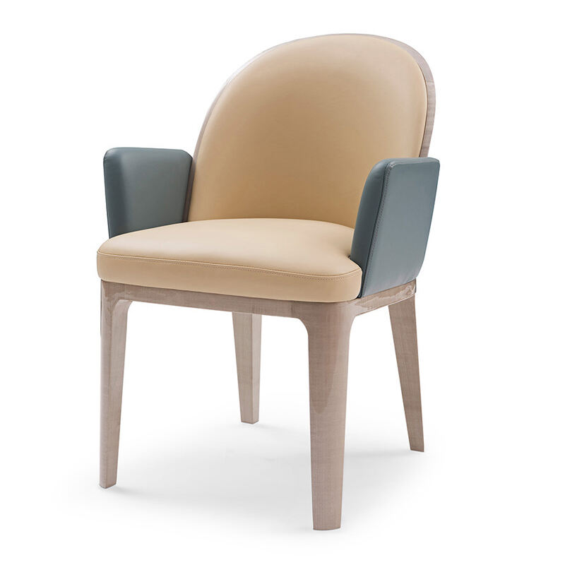 Metal Decorative Dining Chair with Optional Armrests - Modern Elegance for Your Dining Space