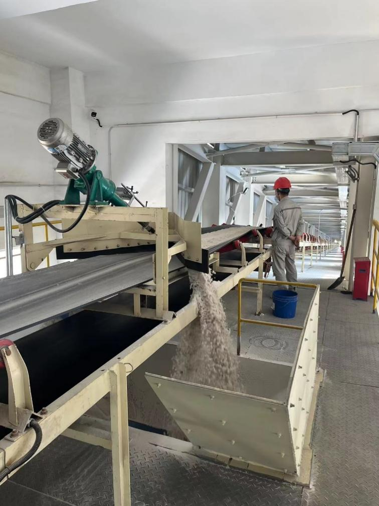 Environmental Sustainability and Modern Manufacturing Standards