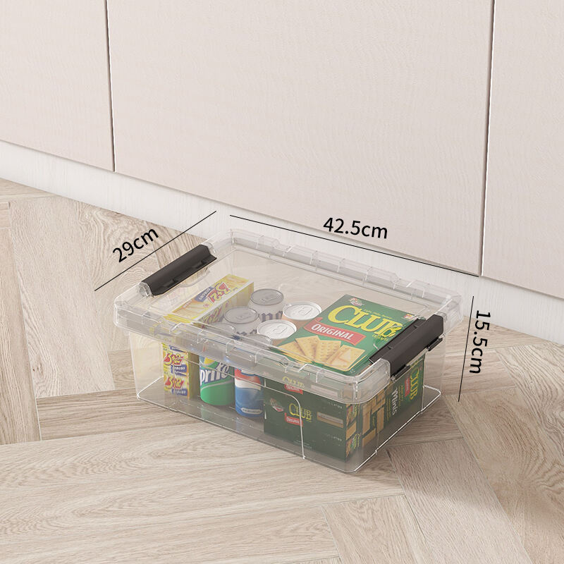 The Ultimate Plastic Storage Box for Toys