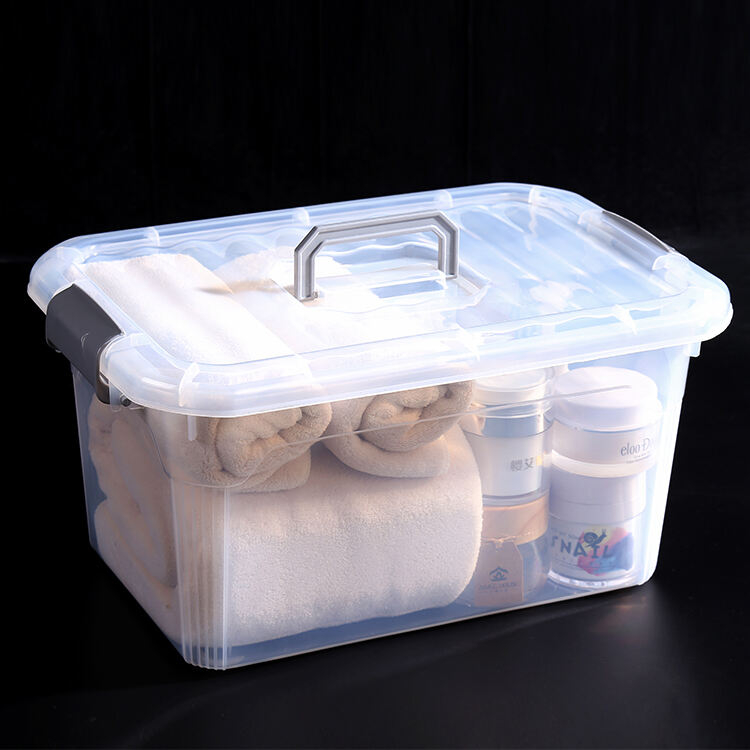 Transparent Storage Box
