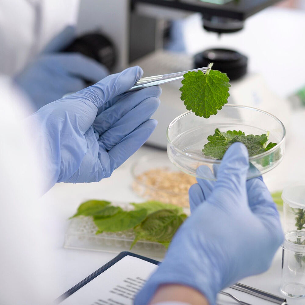 Raw Material Inspection