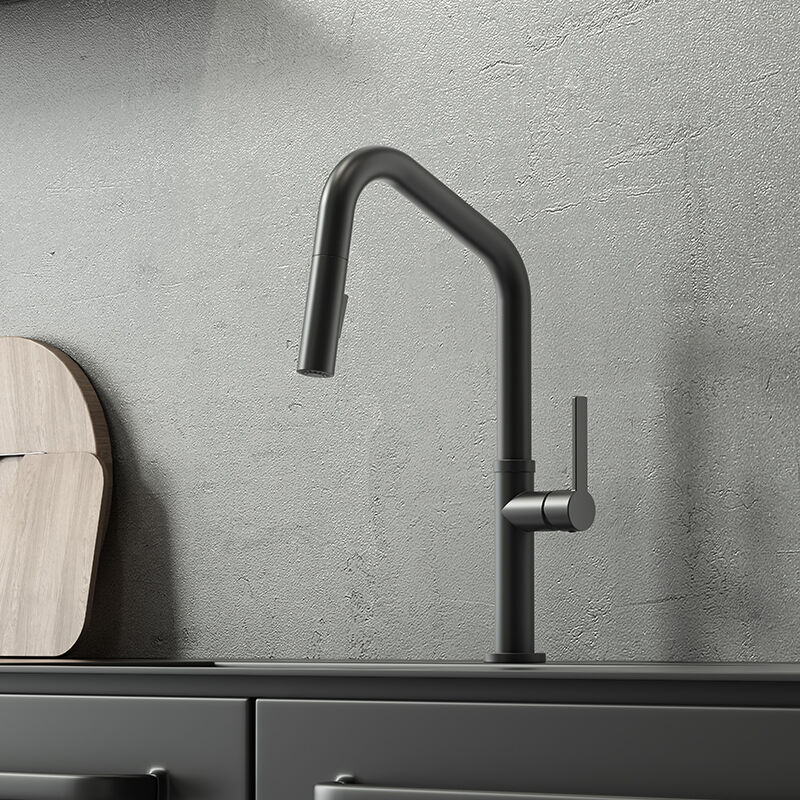 Single Handle Pull-Down Sprayer Kitchen Faucet in Matt Black