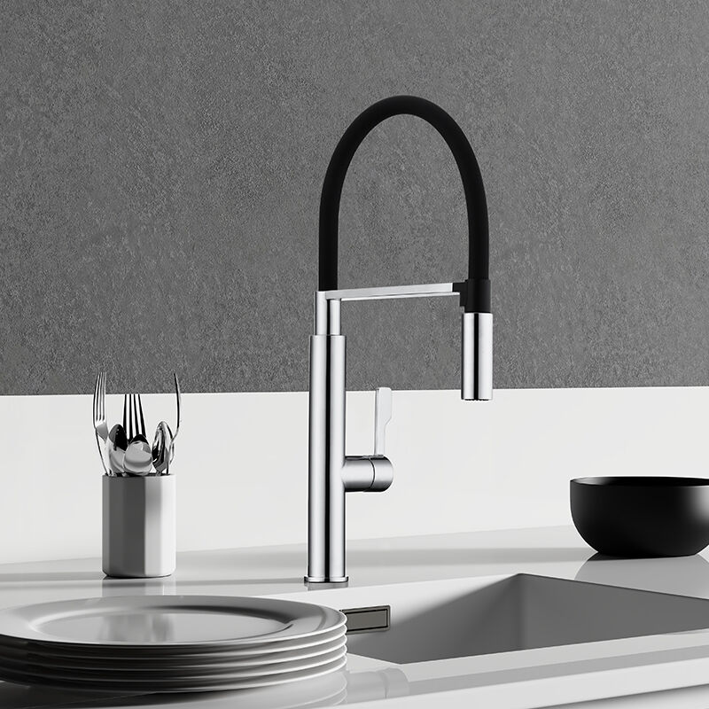 Single Lever Kitchen Faucet with Magnetic Spray Holder