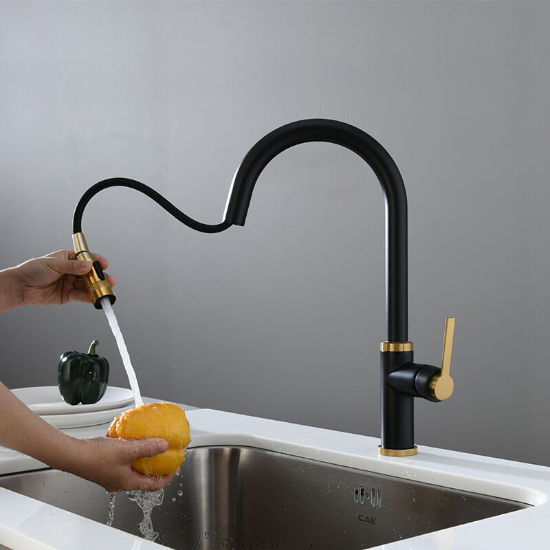 Farmhouse Pull-Down Kitchen Faucet - CAE Brass for Apron Sinks 50 3658