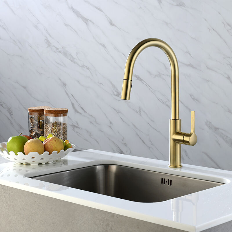 Slim Kitchen Faucet with Dual-function Sprayer in Gold Finishe, Brass Kitchen Mixer for Europa Style