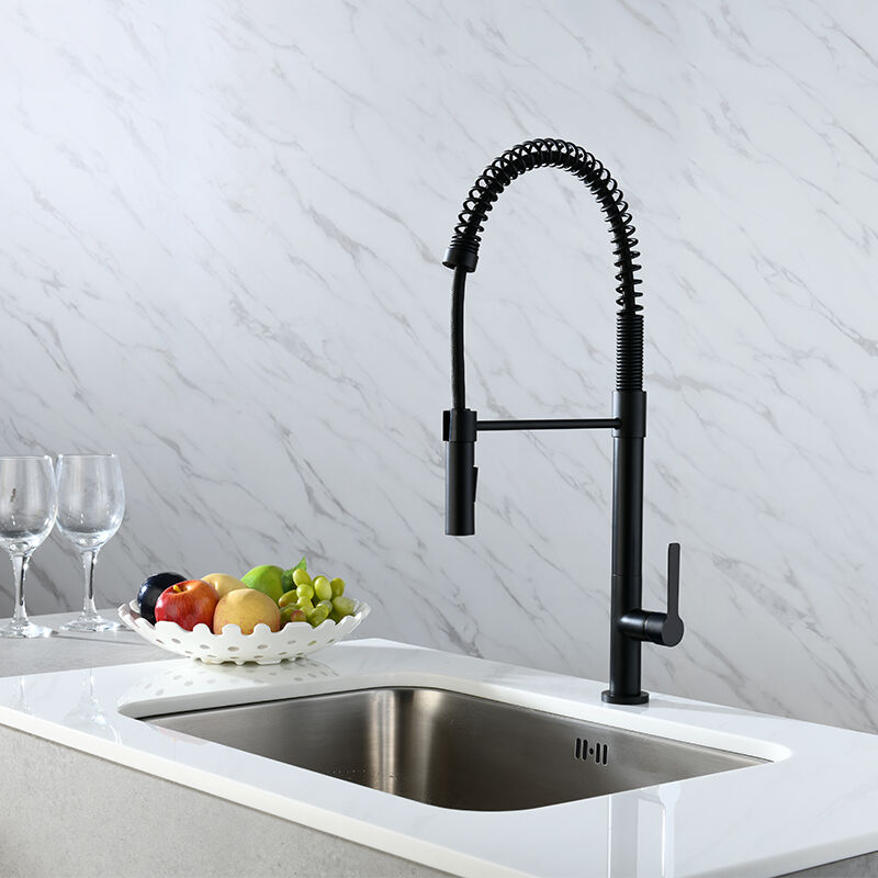 Spring Pulldown Kitchen Faucet with Pull Down Sprayer Slim Kitchen Faucet