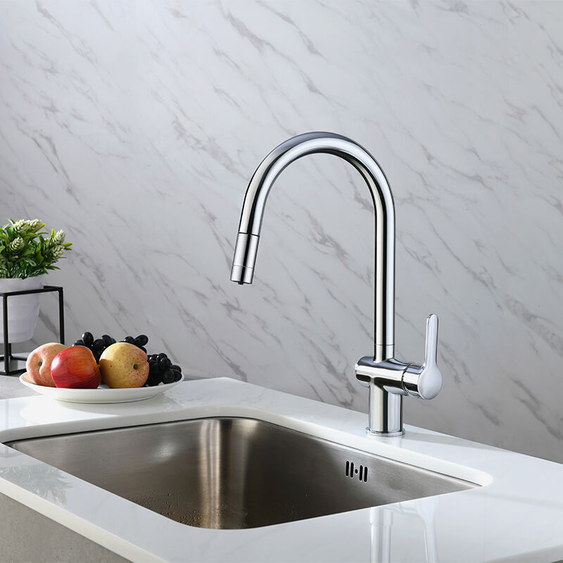 CAE 2 in 1 Pull-Down Kitchen Faucet - Purified water - Brass Core Sprayer  50 3303