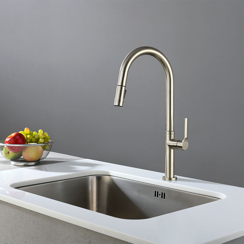 Charming Pull-down Kitchen Faucet with Dual function Sprayer