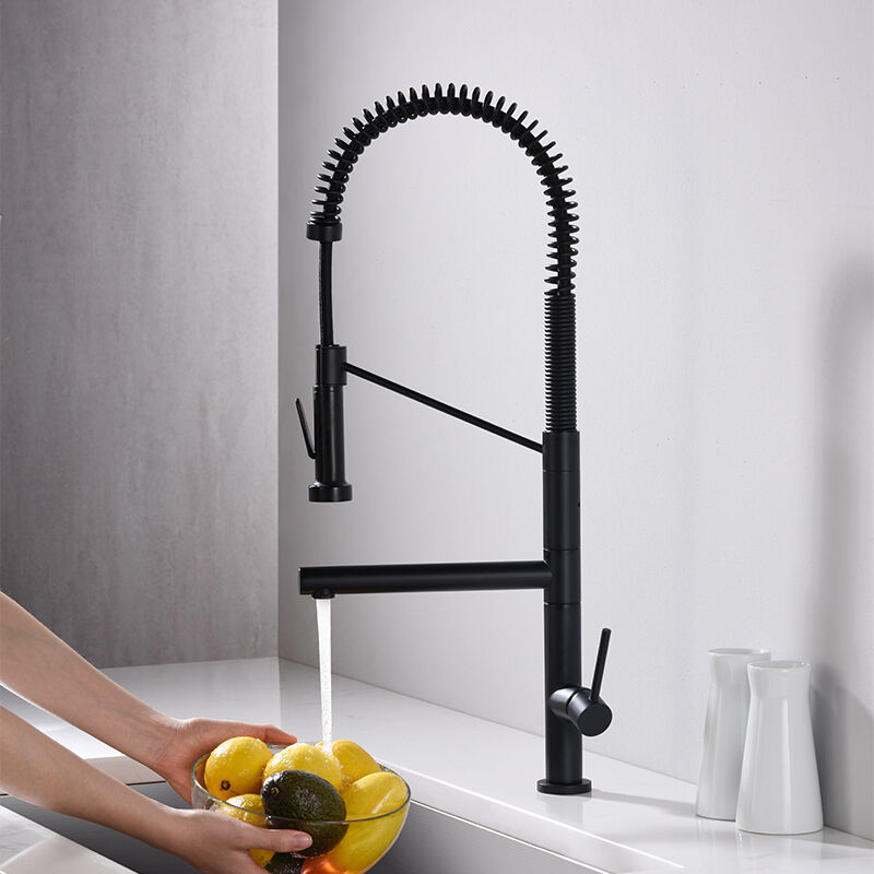 Pull Out Kitchen Faucet for sink, Spring spout dual-function sink faucet