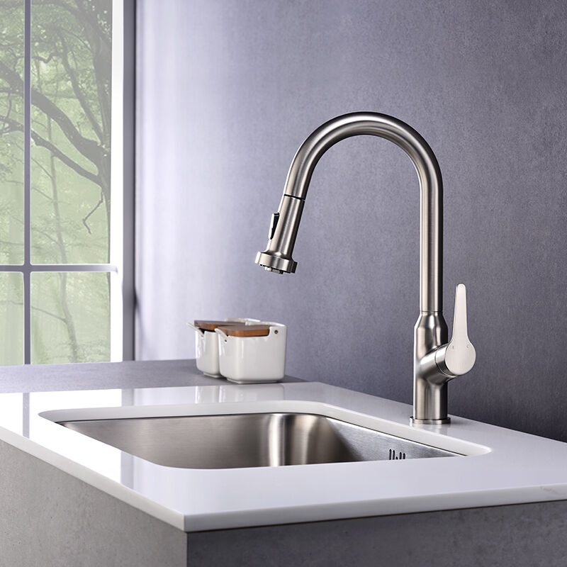 Kitchen Faucet with Pull-Out Dish Rinser, 360 Degree Tap for Kitchen, Mixer Tap with Single Lever Mixer