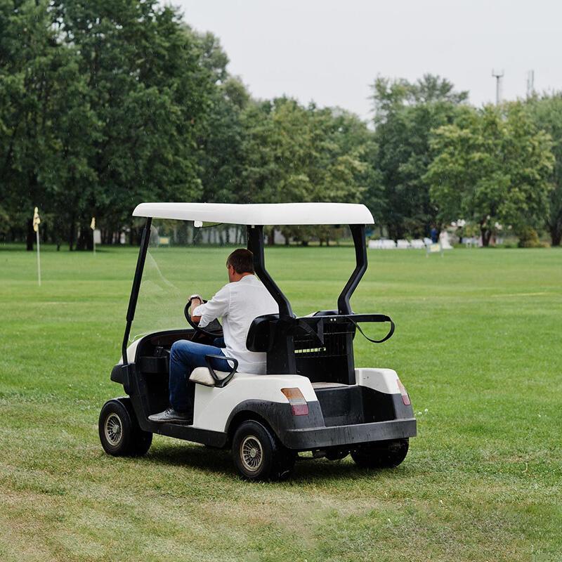 Golf Cart Battery