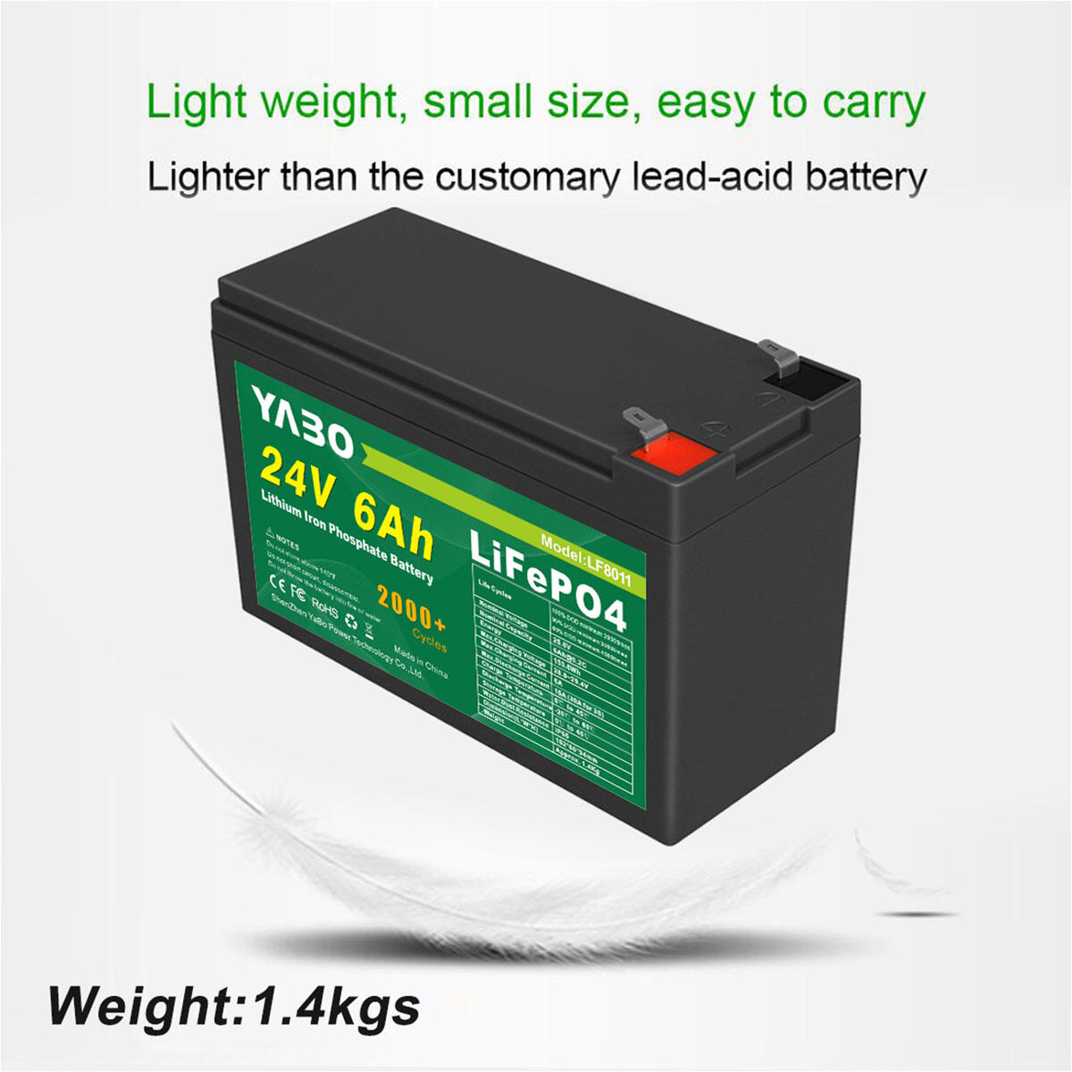LF8011-24V-6Ah-LiFePO4 Battery (7).jpg