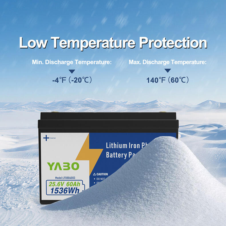 24V 60Ah Lithium Iron Phosphate Battery Pack  (8).jpg