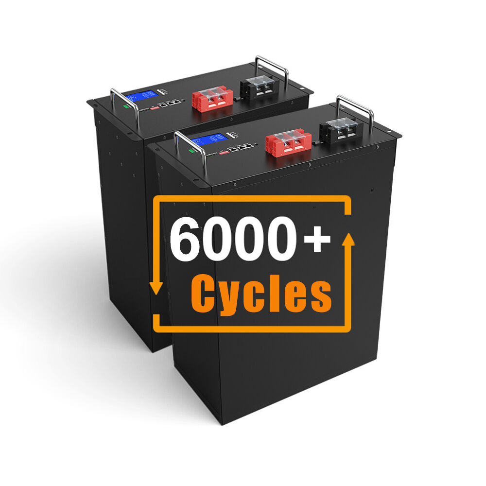 Erakordne Eluiga ja Kestvus