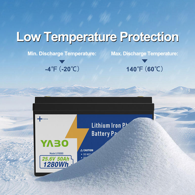 24V 50Ah Lithium Iron Phosphate Battery Pack (12).jpg