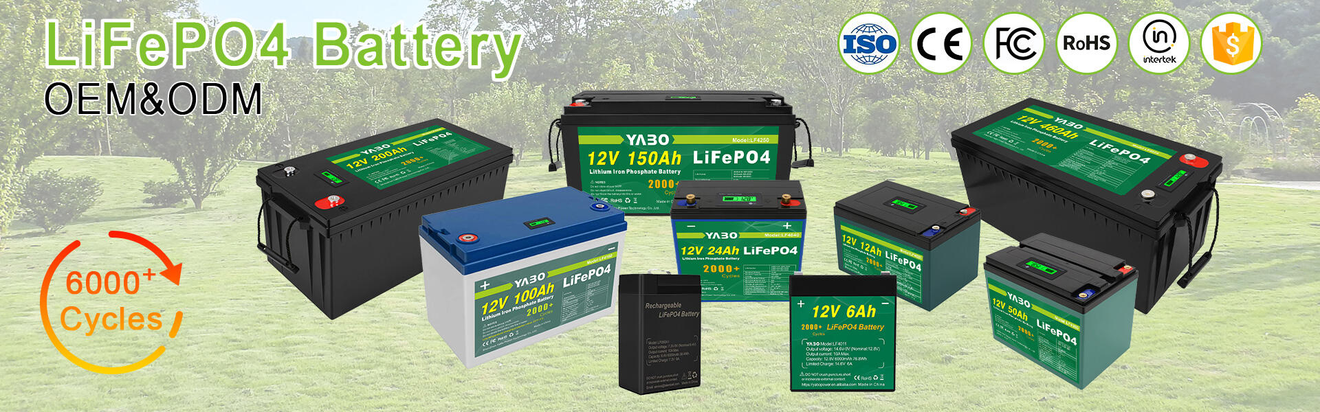 Basic Things to Know About LiFePO4 Batteries