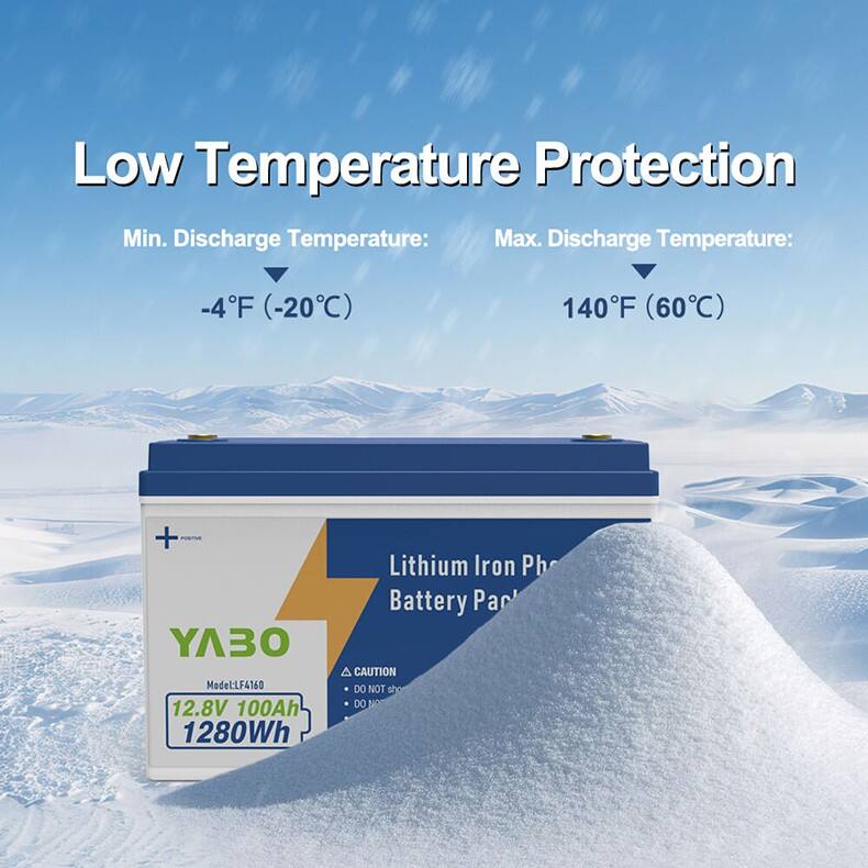 12V 100Ah Lithium Iron Phosphate Battery Pack (1) (1).jpg