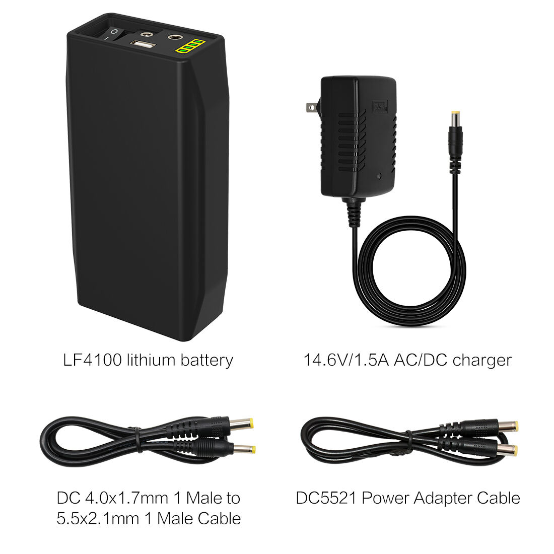LF4100 12V 6500mAh Lithium Ion Battery (9).jpg