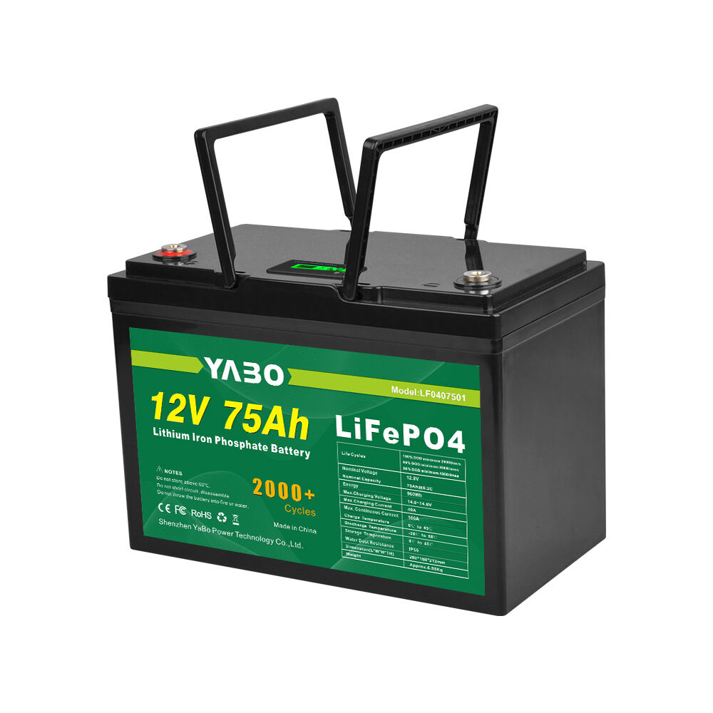 LiFePO4 Battery Pack for Energy Storage - Advanced Power Solutions